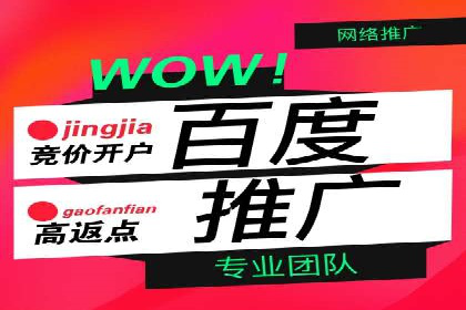 行业巨头背后的SEM推广代运营公司