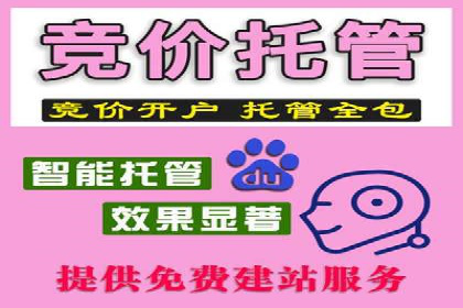 SEM推广案例：打造高效广告投放策略